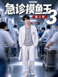 急诊摸鱼王3