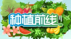 种植前线2026