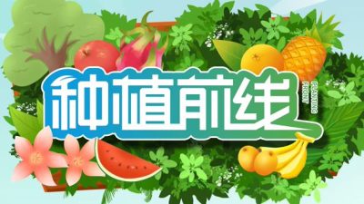 种植前线2026