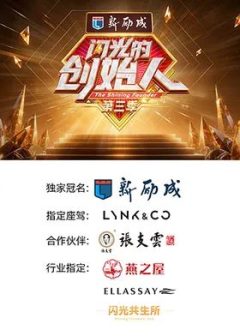 闪光的创始人第三季