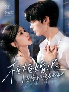 栀栀婚迟，空降上司竟是我前夫